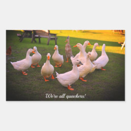 公園のアヒルおもしろい我々は全てQuackers 長方形シール