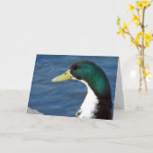 公園のアヒル カード (黄色い花)