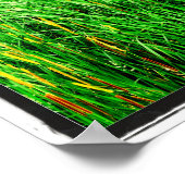 公園のカタイルのある背の高い草 ポスター (角)