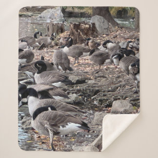 公園のガチョウ シェルパブランケット