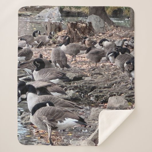 公園のガチョウ シェルパブランケット (正面)
