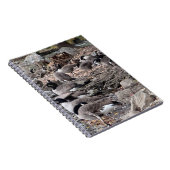 公園のガチョウ ノート (右側)