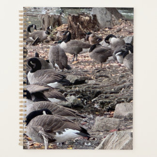 公園のガチョウ プランナー