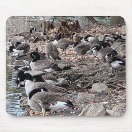 公園のガチョウ マウスパッド