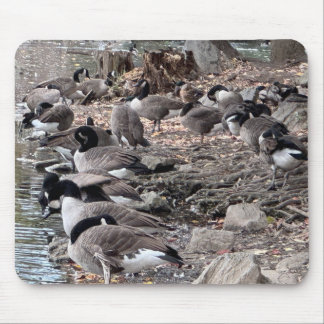 公園のガチョウ マウスパッド