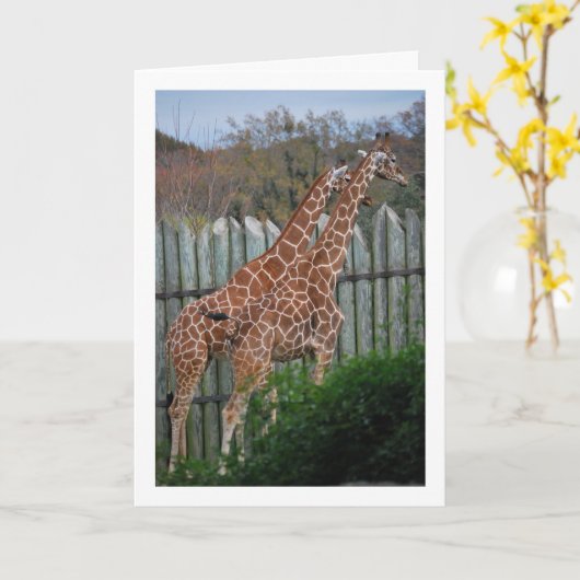 公園のキリンたち カード (黄色い花)
