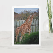 公園のキリン カード (正面)