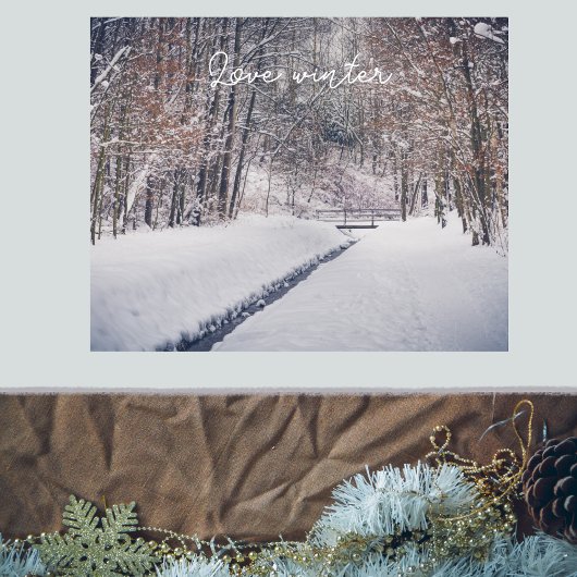 公園のスローで雪が降る ポスター