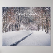 公園のスローで雪が降る ポスター (正面)