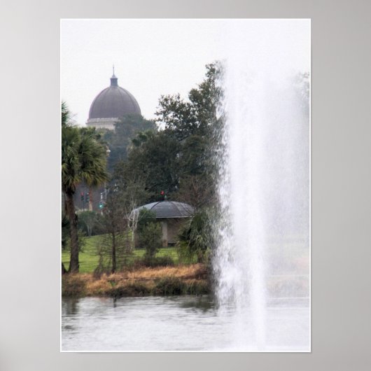 公園のドーム ポスター (正面)