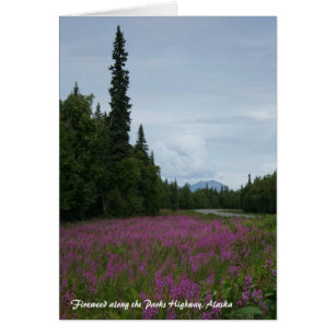 公園のハイウェーに沿うFireweed、アラスカ