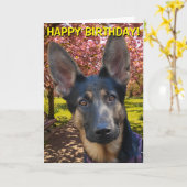 公園のバースデー・カードのジャーマン・シェパード カード (黄色い花)