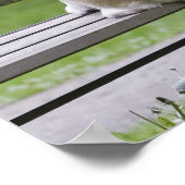 公園のベンチに座っている犬 ポスター (角)