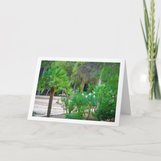 公園のヤシの小木 カード (正面)