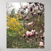 公園の一日 ポスター (正面)