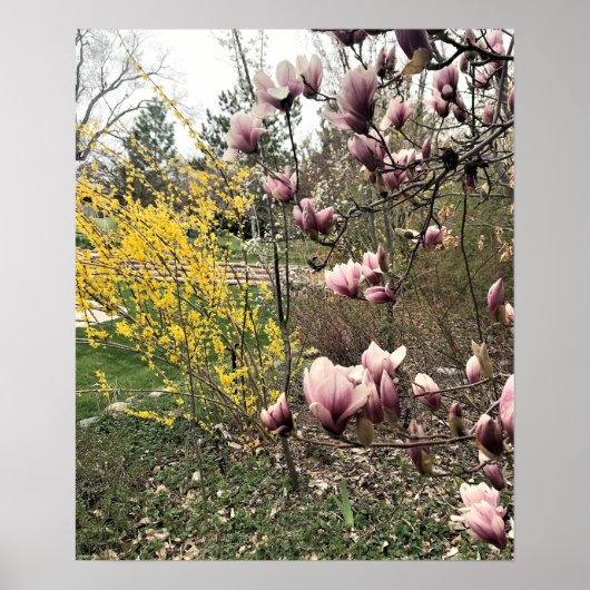 公園の一日 ポスター (正面)