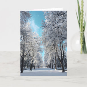 公園の冬の散歩 シーズンカード