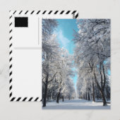 公園の冬の散歩 ポストカード (正面/裏面)