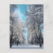公園の冬の散歩 ポストカード (正面)