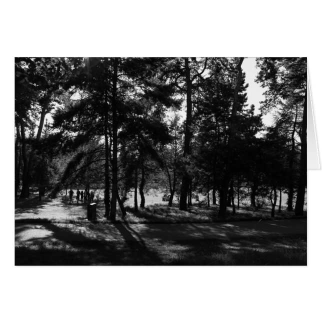 公園の午後 (正面横)