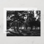 公園の午後 ポストカード (正面/裏面)