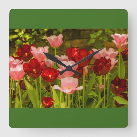 公園の壁時計のチューリップの開花 スクエア壁時計 (正面)