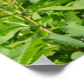 公園の夏の植物 ポスター (角)