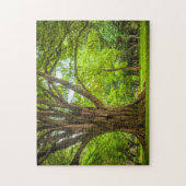 公園の大きい木 ジグソーパズル (縦)