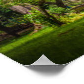 公園の大きな木 ポスター (角)