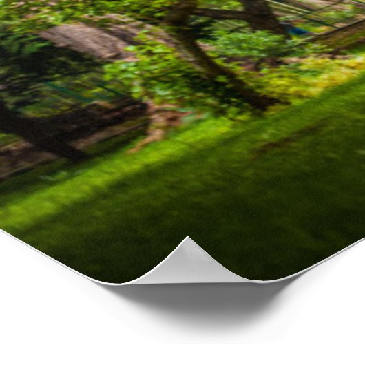 公園の大きな木 ポスター (角)