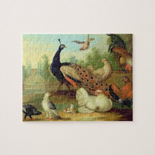 公園の孔雀、鳩、鶏およびジェイ ジグソーパズル (横)