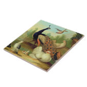 公園の孔雀、鳩、鶏およびジェイ タイル (側面)