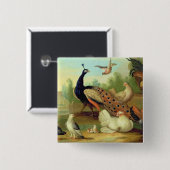 公園の孔雀、鳩、鶏およびジェイ 缶バッジ (正面&裏面)