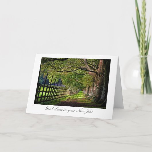 公園の散歩 – 新しい仕事で頑張ろう カード (正面)