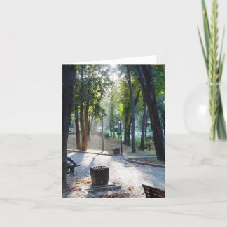 公園の日光-メッセージカード カード