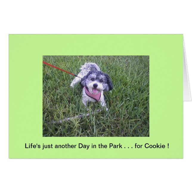 公園の日 (正面横)