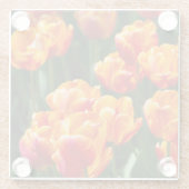 公園の明るいオレンジ色のチューリップ ガラスコースター (裏面)