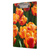 公園の明るいオレンジ色のチューリップ クリップボード (左)