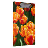 公園の明るいオレンジ色のチューリップ クリップボード (右)