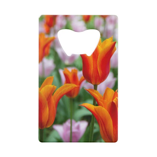 公園の明るいオレンジ色のチューリップ クレジットカード栓抜き (正面)