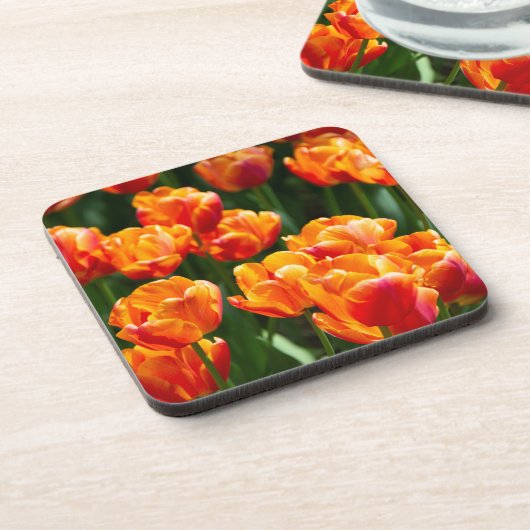 公園の明るいオレンジ色のチューリップ コースター (左側)