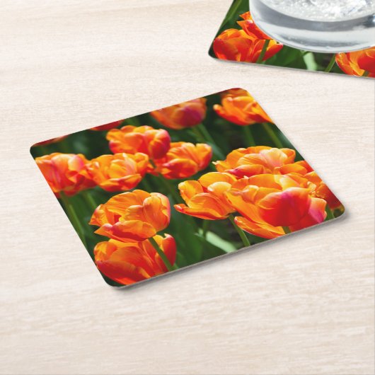 公園の明るいオレンジ色のチューリップ スクエアペーパーコースター (アングル)