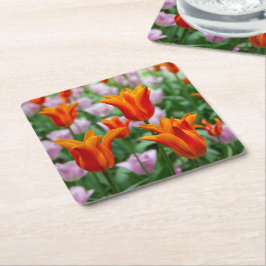 公園の明るいオレンジ色のチューリップ スクエアペーパーコースター