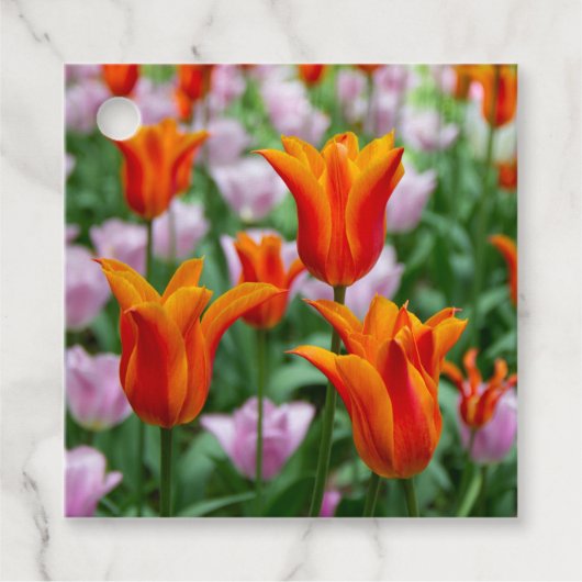 公園の明るいオレンジ色のチューリップ フェイバータグ (正面)