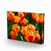 公園の明るいオレンジ色のチューリップ フォトブロック (右)