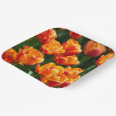 公園の明るいオレンジ色のチューリップ ペーパープレート (傾斜あり)