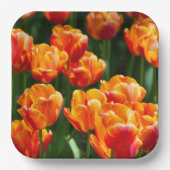 公園の明るいオレンジ色のチューリップ ペーパープレート (正面)