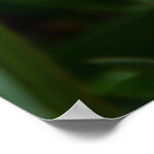 公園の明るいオレンジ色のチューリップ ポスター (角)