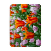 公園の明るいオレンジ色のチューリップ マグネット (縦)