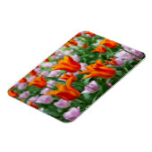 公園の明るいオレンジ色のチューリップ マグネット (左側)